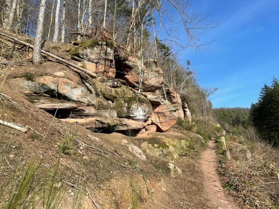 Ferienwohung Am Felsenwanderweg Im Pfaelzerwald Apartment Rodalben Luaran gambar